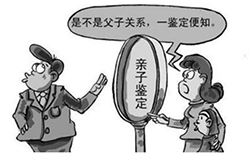 苏州亲子鉴定机构在哪里办理，苏州亲子鉴定大概多少钱