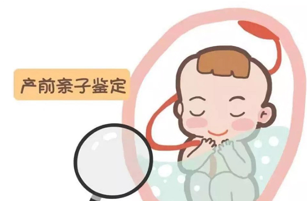 刚怀孕如何检测孩子父亲是谁[苏州],孕期亲子鉴定结果准确吗