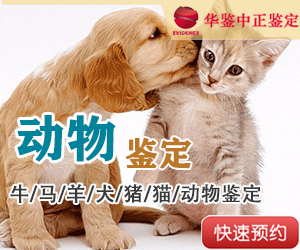 苏州动物亲子鉴定